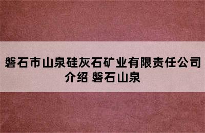 磐石市山泉硅灰石矿业有限责任公司介绍 磐石山泉